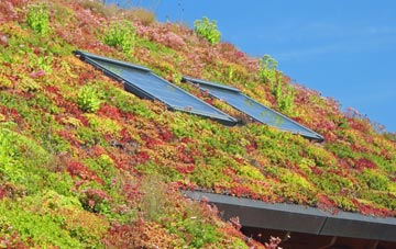 Stoke Climsland living roof systems